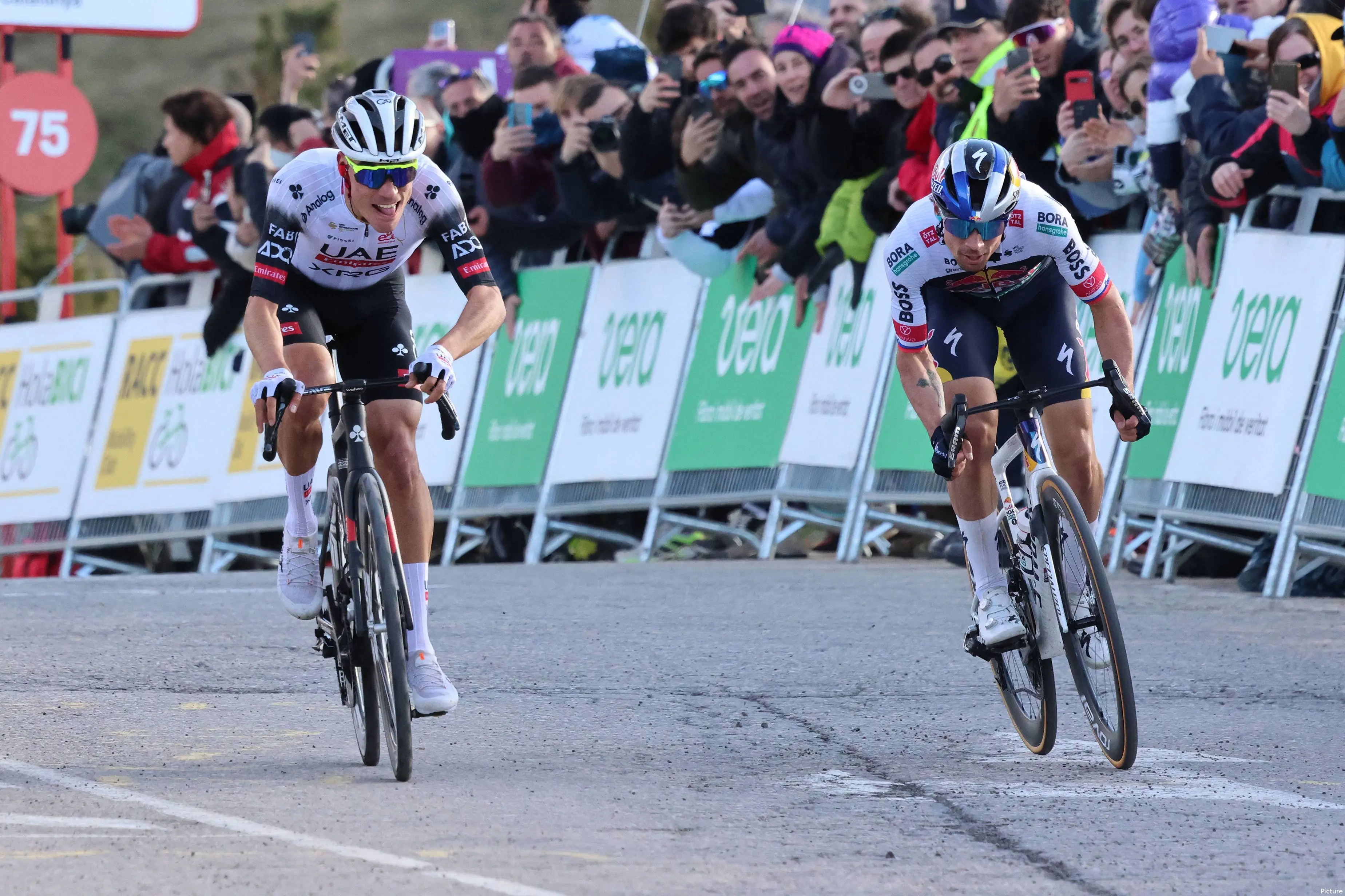 UCI Weltrangliste Ayuso überholt Ganna, van der Poel, Pogacar und